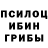 Псилоцибиновые грибы MAGIC MUSHROOMS TopFactTV