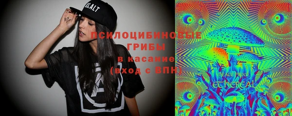 стафф Горнозаводск
