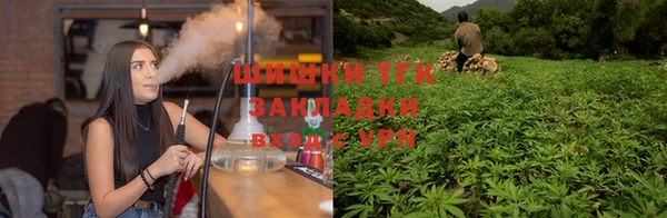 стафф Горнозаводск