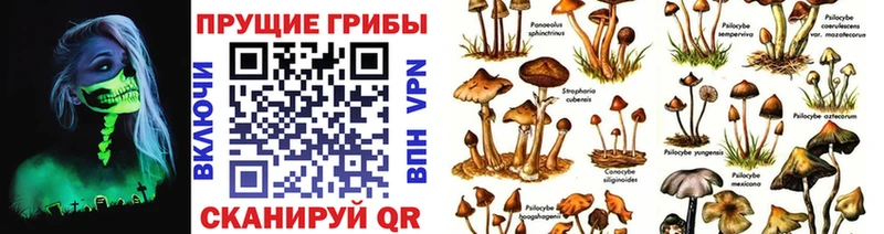 наркота  Яровое  Галлюциногенные грибы Psilocybe 